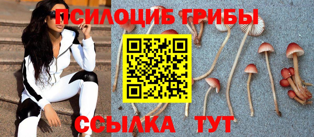 Галлюциногенные грибы прущие грибы  купить наркоту  Галлюциногенные грибы прущие грибы  Тамбов  Вход с VPN 