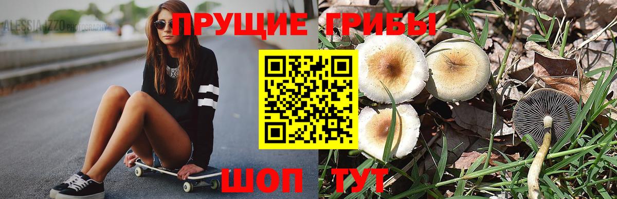 Галлюциногенные грибы GOLDEN TEACHER Тамбов
